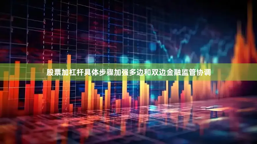 股票加杠杆具体步骤加强多边和双边金融监管协调